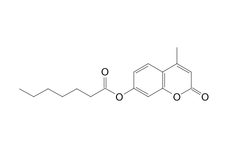 7-hydroxy -4-methylcoumarin, heptanoate