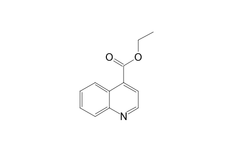 Ethyl 4-quinolinecarboxylate