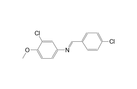 3-Chloro-N-[(E)-(4-chlorophenyl)methylidene]-4-methoxyaniline