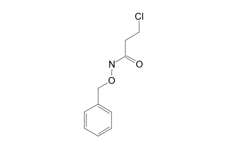 N-(benzyloxy)-3-chloropropionamide