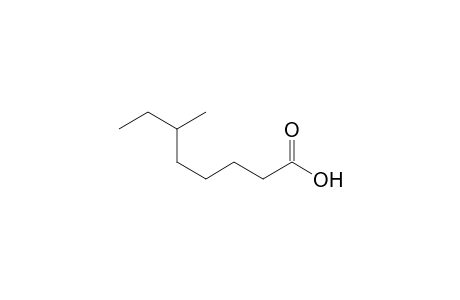 6-Methyloctanoic acid