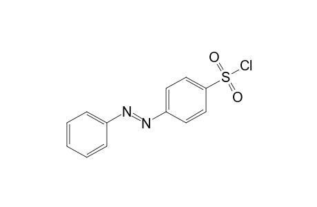 p-(Phenylazo)benzenesulfonyl chloride