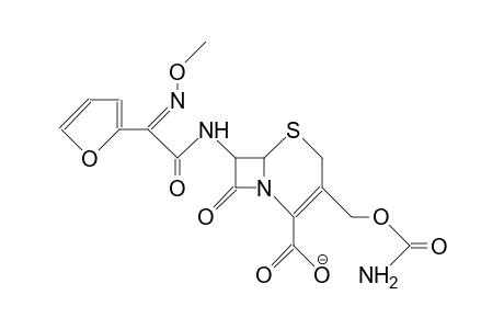 Cefuroxime anion