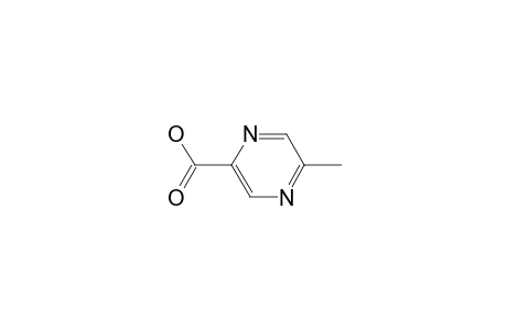 5-Methylpyrazine-2-carboxylic acid