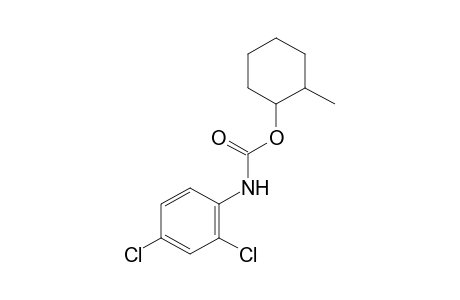 2,4-dichlorocarbanilic acid, 2-methylcyclohexyl ester