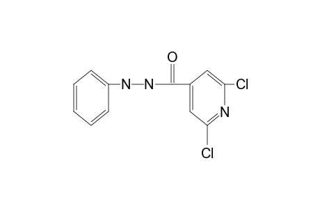 2,6-dichloroisonicotinic acid, 2-phenylhydrazide