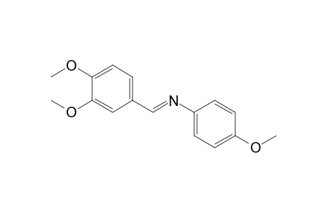 (3,4-DIMETHOXYBENZYLIDENE)-(4-METHOXYPHENYL)-AMINE