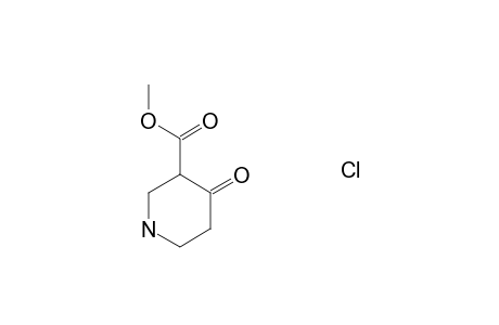 Methyl 4-oxo-3-piperidinecarboxylate hydrochloride