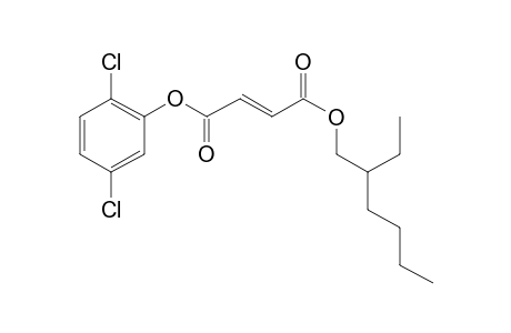 Fumaric acid, 2,5-dichlorophenyl 2-ethylhexyl ester