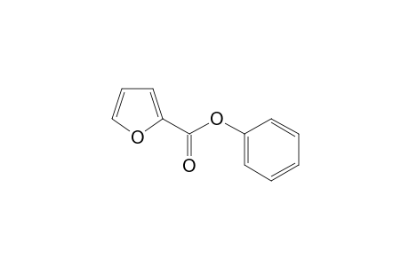 Phenyl 2-furoate