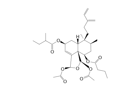 CASEAMEMBRIN_M;(2-S,5-R,6-R,8-S,9-S,10-R,18-S,19-R)-2-(2-METHYLBUTYRYLOXY)-6-N-BUTYRYLOXY-18,19-DI-O-ACETYL-18,19-EPOXYCLERODA-3,13-(16),14-TRIENE