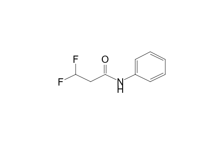 3,3-Difluoro-N-phenylpropanamide