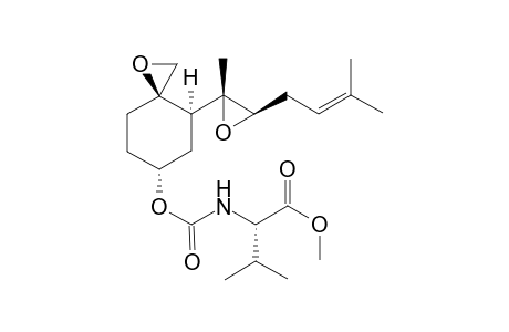 methyl (2S)-3-methyl-2-[[(3R,4S,6R)-4-[(2R,3R)-2-methyl-3-(3-methylbut-2-enyl)oxiran-2-yl]-1-oxaspiro[2.5]octan-6-yl]oxycarbonylamino]butanoate