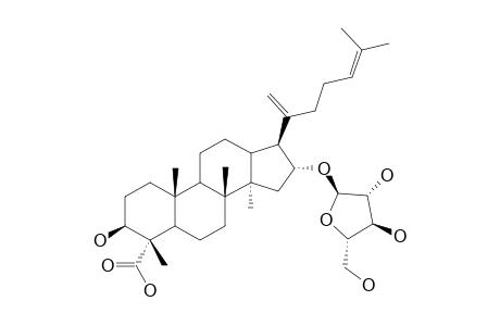 ROTUNDIFOLIC-ACID;(16R)-16-O-ALPHA-L-ARABINOFURANOSYL-3-BETA-HYDROXYDAMMARA-20,24-DIEN-29-OIC-ACID