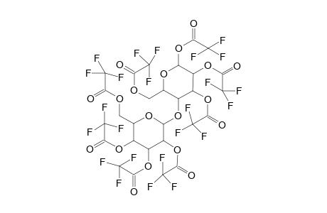 Lactose 8TFA