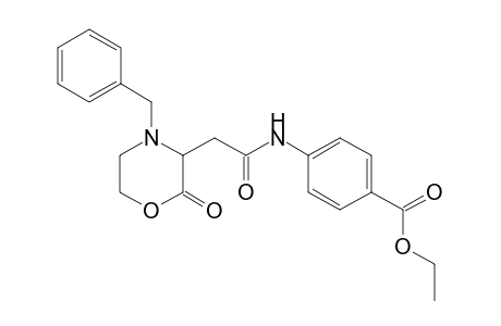 Benzoic acid, 4-[[[2-oxo-4-(phenylmethyl)-3-morpholinyl]acetyl]amino]-, ethyl ester