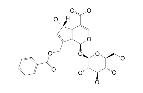 10-O-BENZOYLDEACETYLASPERULOSIDIC-ACID