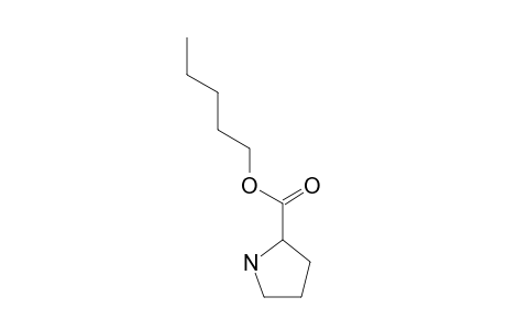 L-Proline, pentyl ester