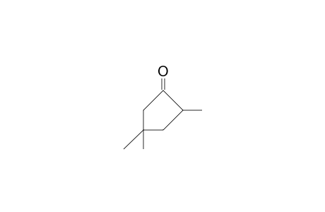 2,4,4-Trimethyl-cyclopentanone