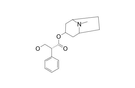 Hyoscyamine