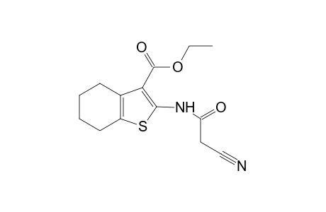 2-(2-cyano-acetylamino)-4,5,6,7-tetrahydrobenzo[b]thiophene-3-carboxylic acid ethyl ester