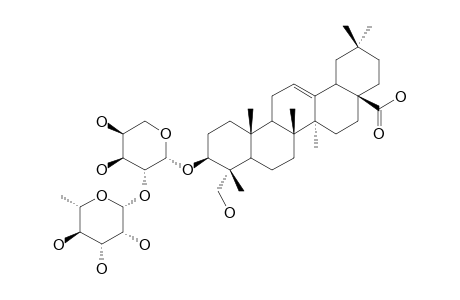HEDERAGENIN-3-O-ALPHA-L-RHAMNOPYRANOSYL-(1->2)-ALPHA-L-ARABINOPYRANOSIDE
