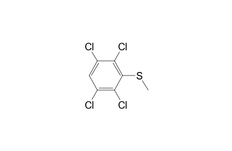 methyl 2,3,5,6-tetrachlorophenyl sulfide