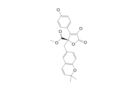 ASPERNOLIDE_E