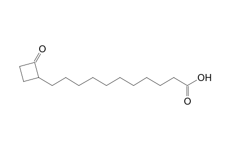 11-(2'-OXOCYCLOBUTYL)-UNDECANOIC_ACID