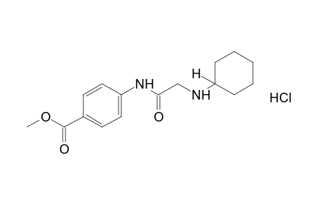 p-[2-(cyclohexylamino)acetamido]benzoic acid, methyl ester, hydrochloride