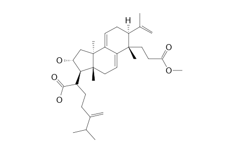 PORICOIC-ACID-AM;16-ALPHA-HYDROXY-3,4-SECO-LANOSTA-4(28),7,9(11),24(31)-TETRAEN-3,21-DIOIC-ACID-3-METHYLESTER