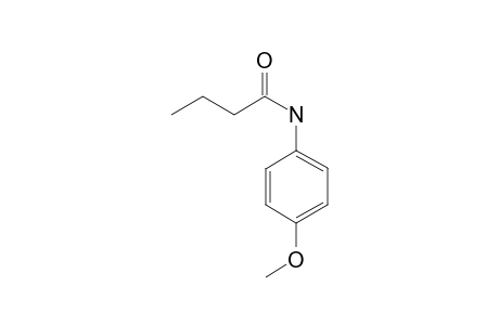 4-Methoxyaniline BUT