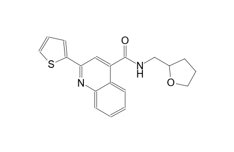 4-quinolinecarboxamide, N-[(tetrahydro-2-furanyl)methyl]-2-(2-thienyl)-