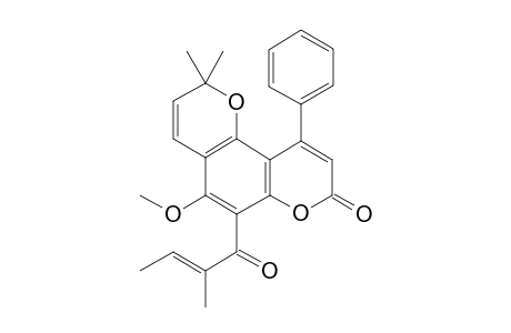 Calophyllolide