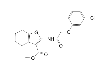 Methyl 2-{[(3-chlorophenoxy)acetyl]amino}-4,5,6,7-tetrahydro-1-benzothiophene-3-carboxylate