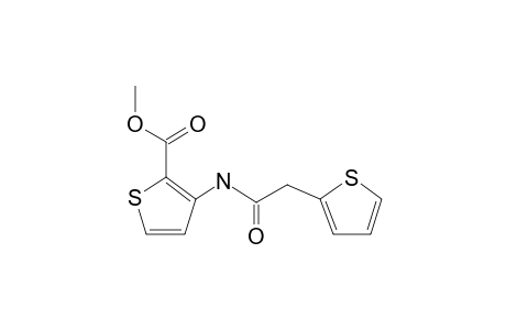 Methyl 3-[(2-thienylacetyl)amino]-2-thiophenecarboxylate