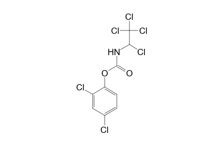 2,4-Dichlorophenyl 1,2,2,2-tetrachloroethylcarbamate