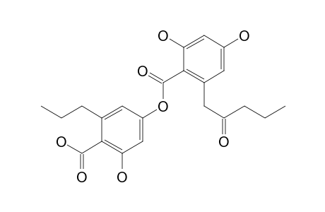 Benzoic acid, 2,4-dihydroxy-6-(2-oxopentyl)-, 4-carboxy-3-hydroxy-5-propylphenyl ester