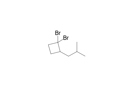 1,1-bis(Bromanyl)-2-(2-methylpropyl)cyclobutane