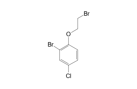 2-Bromo-1-(2-bromoethoxy)-4-chlorobenzene