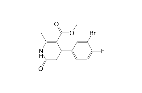 methyl 4-(3-bromo-4-fluorophenyl)-2-methyl-6-oxo-1,4,5,6-tetrahydro-3-pyridinecarboxylate