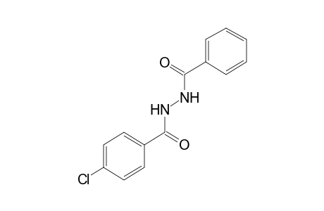 1-benzoyl-2-(p-chlorobenzoyl)hydrazine