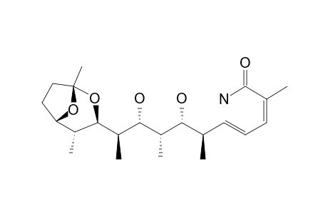 SALINIKETAL_A