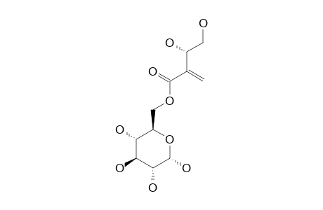 6-TULIPOSIDE-B;ALPHA-ANOMER;6-[(S)-3,4-DIHYDROXY-2-METHYLENEBUTANOATE]-ALPHA-D-GLUCOPYRANOSE