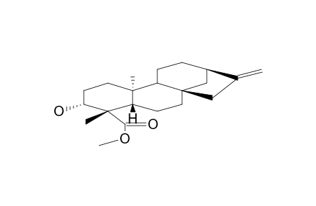 DITERPENE SL-V