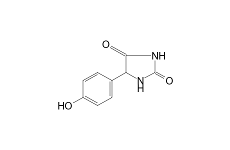 5-(p-hydroxyphenyl)hydantoin