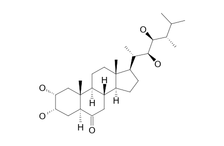 24-EPI-CASTASTERONE