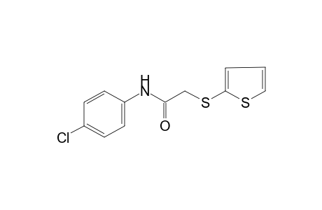 4'-chloro-2-[(2-thienyl)thio]acetanilide