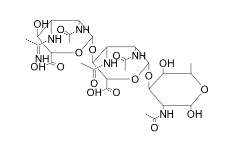 ALPHA-TRISACCHARIDE 2 (FROM PSEUDOMONAS AERUGINOSA O)