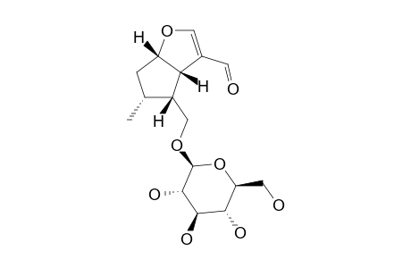 PATRIRIDOSIDE_D;(5-S,6-S,8-R,9-R)-9-(HYDROXYMETHYL)-8-METHYL-6,7,8,9-TETRAHYDRO-5-H-CYCLOPENTA-[B]-FURAN-4-CARBALDEHYDE_1-O-BETA-D-GLUCOPYRANOSIDE